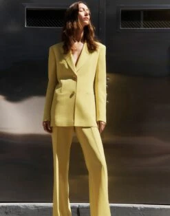 Finesse Crepe Fitted Blazer 19 Finesse Crepe Fitted Blazer -Chic Daily Fashion mjcv3h 6147 bright citrine elevated