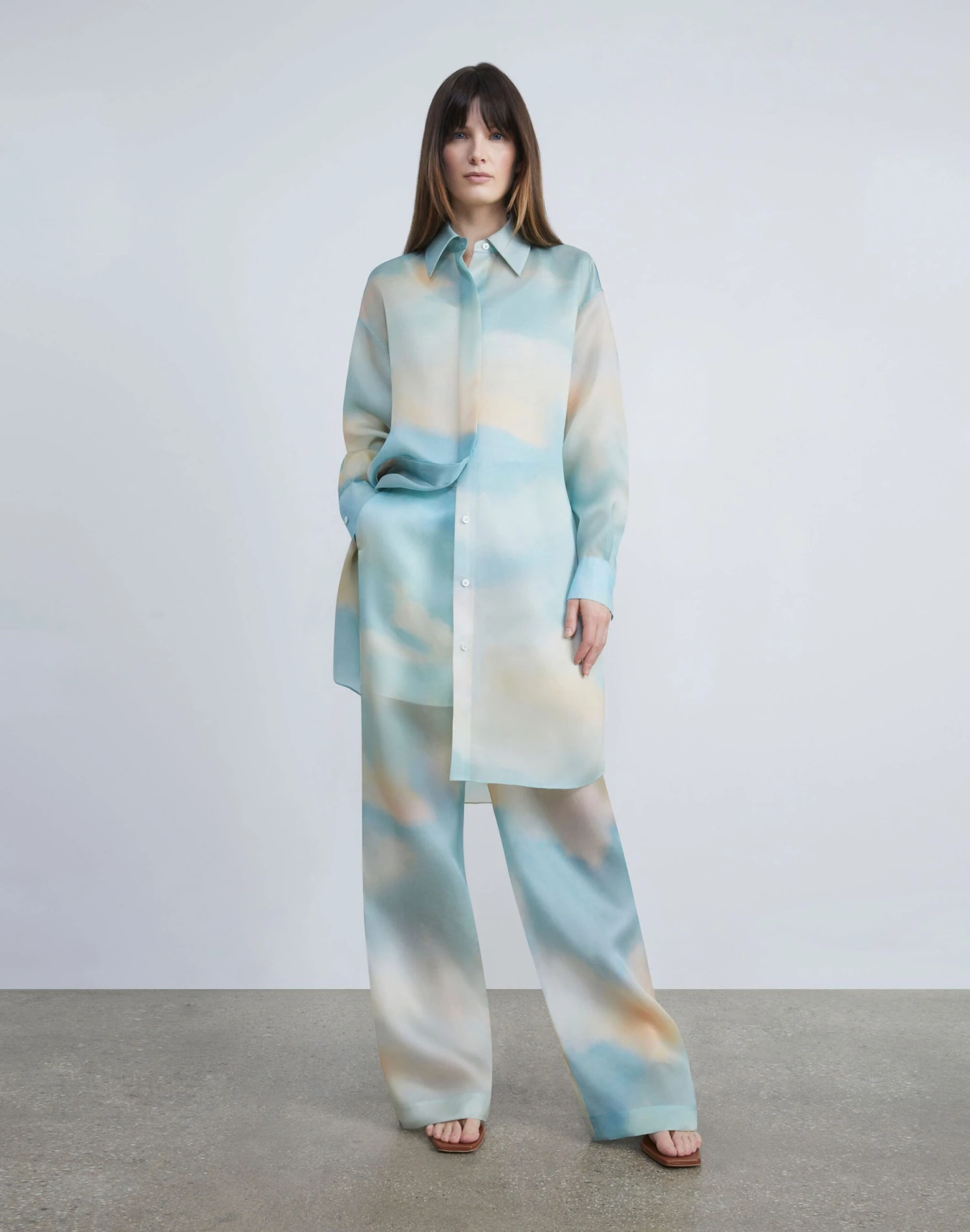 Sky Scene Print Silk Organza Sullivan Pant 2 Sky Scene Print Silk Organza Sullivan Pant - Image 2