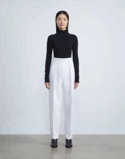 Double Face Wool Waverly Pant 16 Double Face Wool Waverly Pant -Chic Daily Fashion mpd46r 8034 cloud full