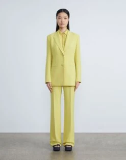 Finesse Crepe Gates Side-Zip Flared Pant -Chic Daily Fashion mpd65r 6147 bright citrine full